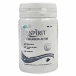 SPIRIT CHARBON ACTIF 30 GEL